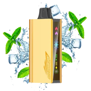 JNR Cruiser Cool Mint